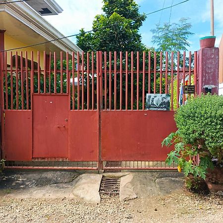 Peace Lily Studio Apartments Panglao Esterno foto