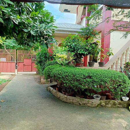 Peace Lily Studio Apartments Panglao Esterno foto