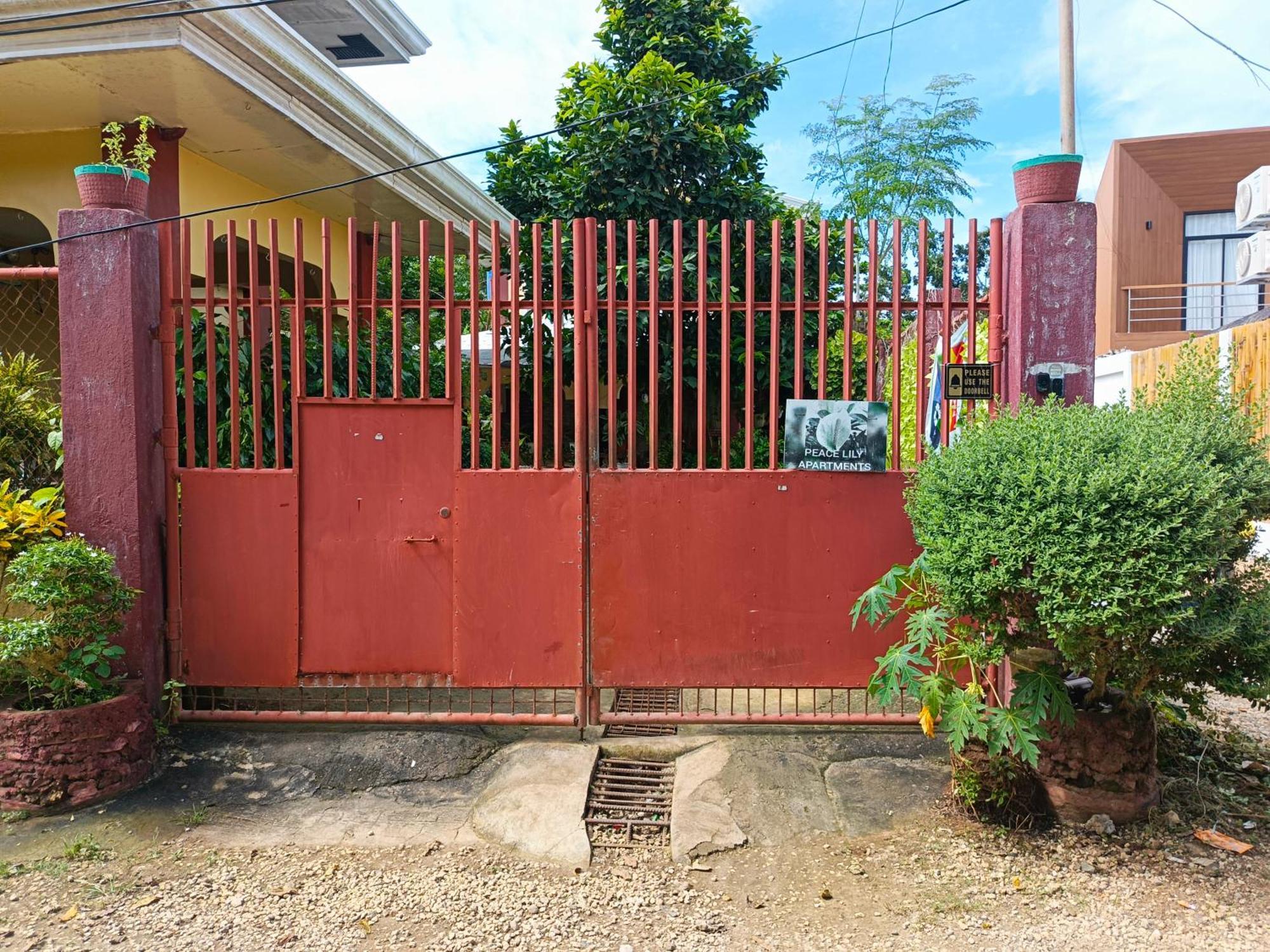 Peace Lily Studio Apartments Panglao Esterno foto