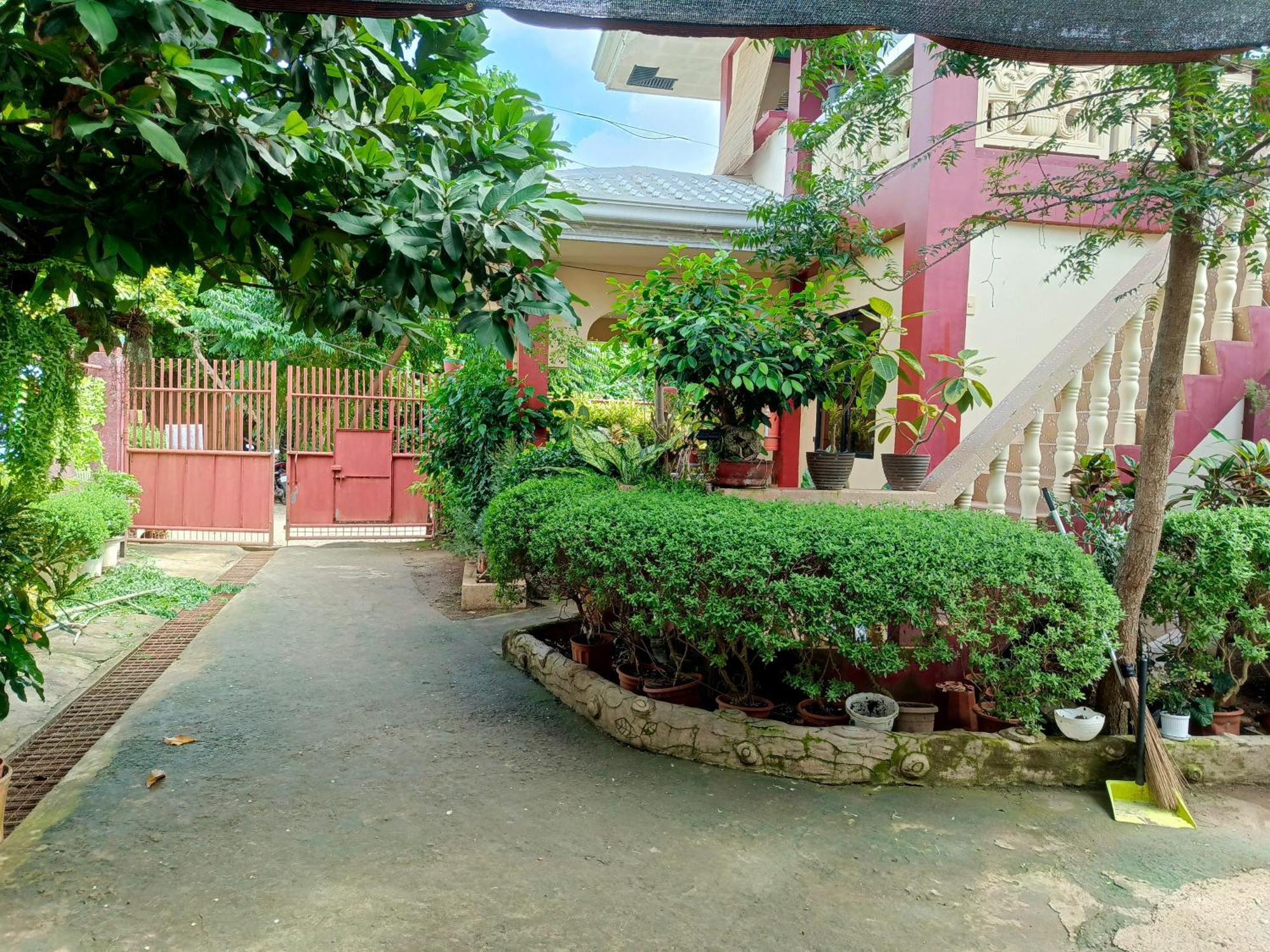 Peace Lily Studio Apartments Panglao Esterno foto