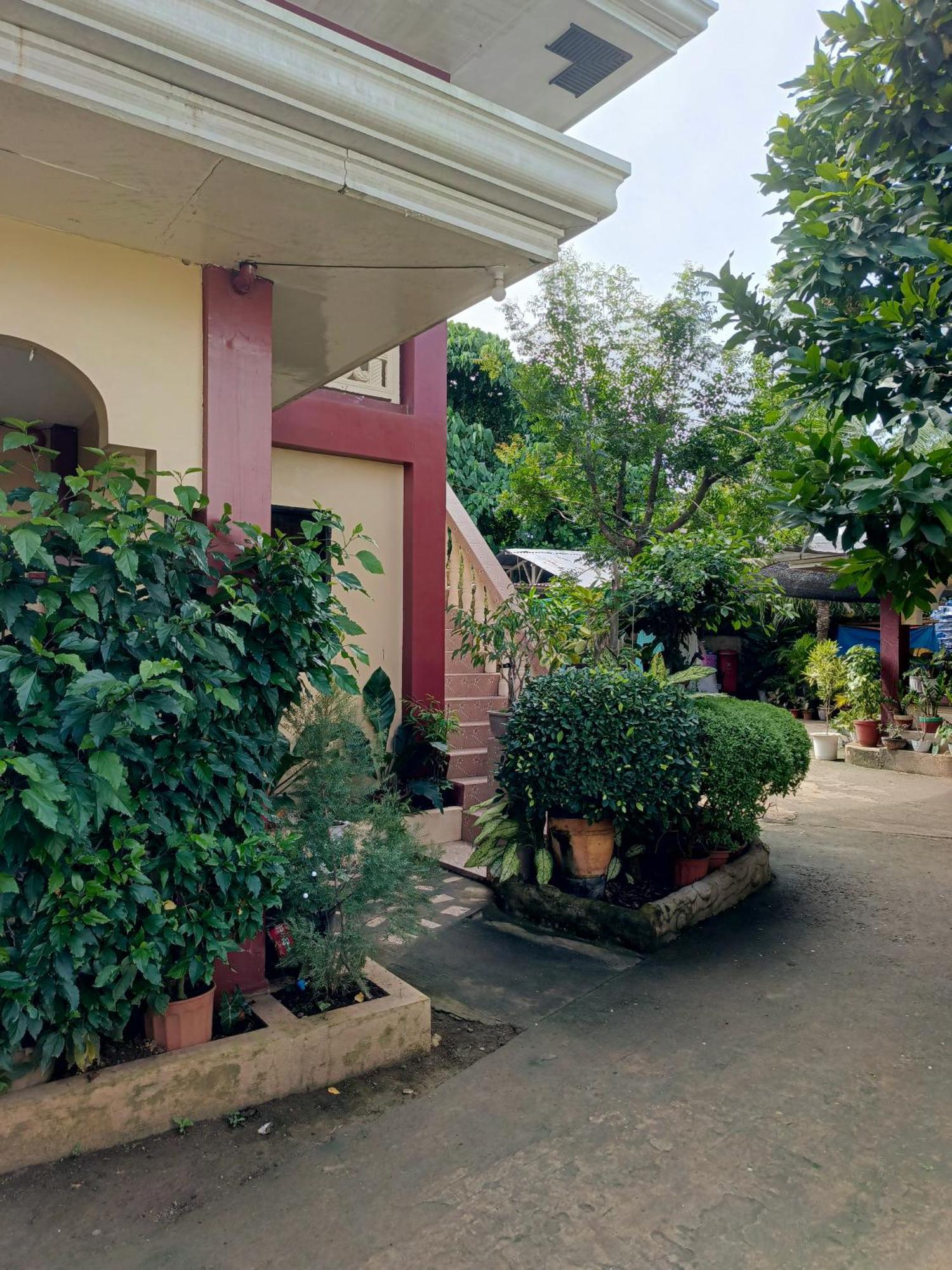 Peace Lily Studio Apartments Panglao Esterno foto